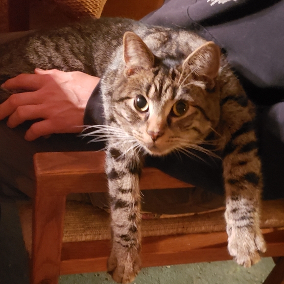 Meet your Posher, Angela - Picture 7 of 16